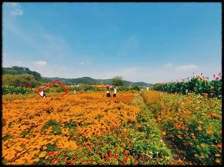 임진강댑싸리공원
