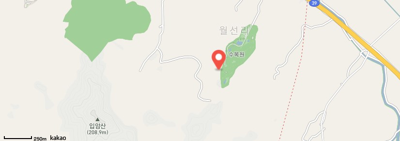 3월 축제 가볼만한 곳