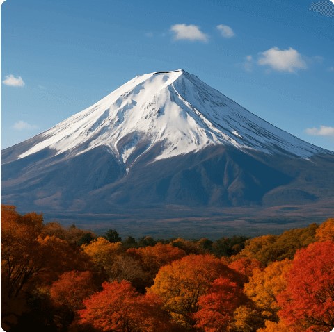 후지산 사진