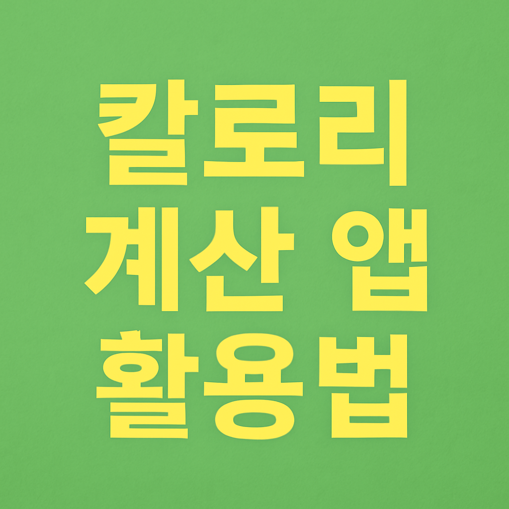 칼로리 계산 앱 추천과 활용법
