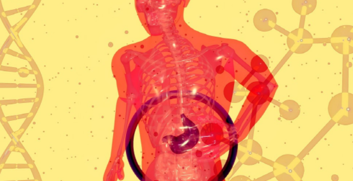 위 건강 관련 이미지