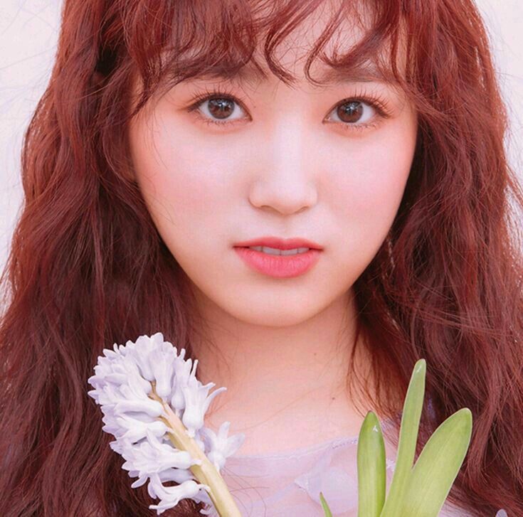 아이즈원 야부키나코 아이즈원 야부키나코