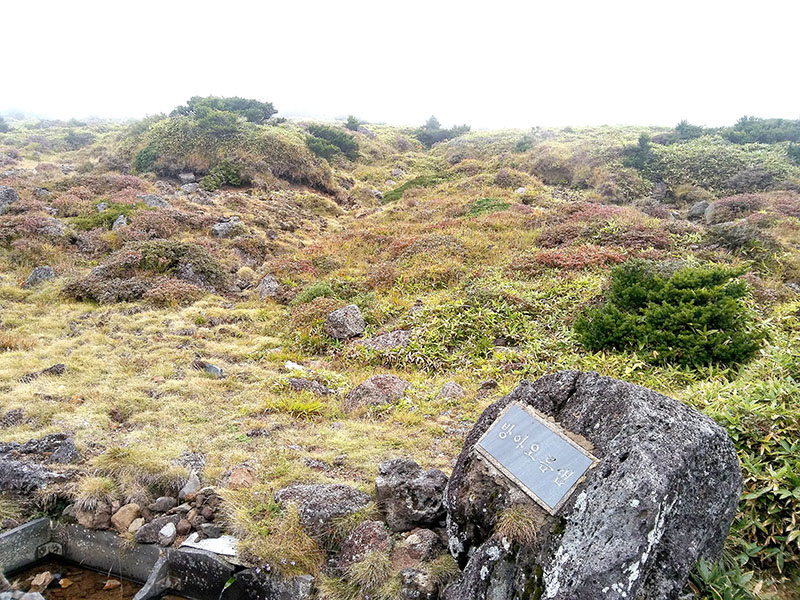 한라산 돈내코탐방로