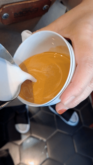 망친 로제타 움짤