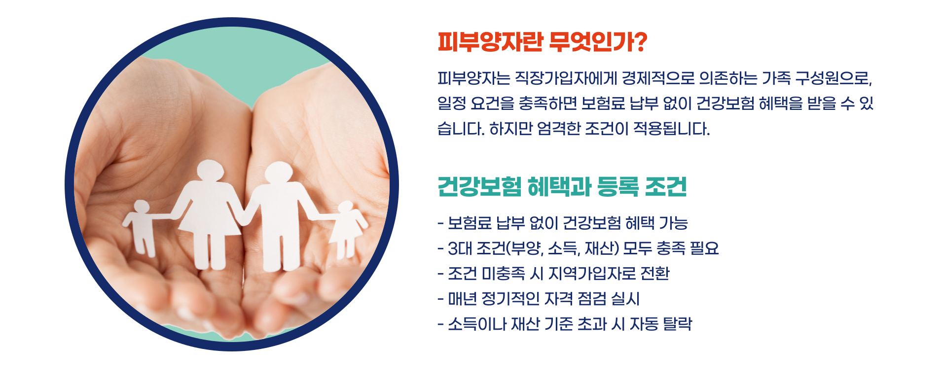 건강보혐료 피부양자 조건 신청방법 총정리 블로그 글 이미지 2