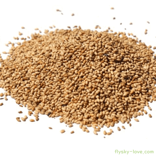 참깨 고르는 법