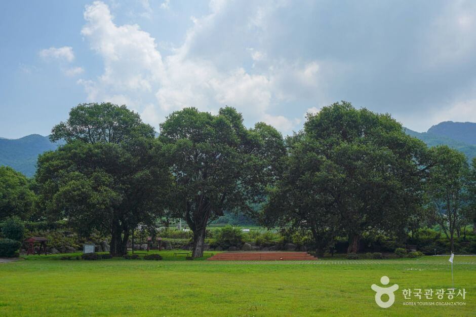 산청 가볼만한곳 베스트 10