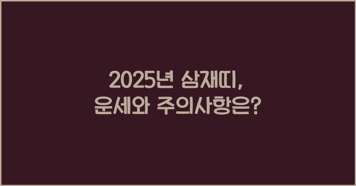 2025년 삼재띠