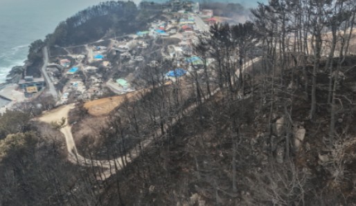 경북 산불 긴급 재난지원금 신청하기 관련사진