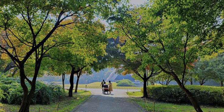 매헌시민의 숲 이미지