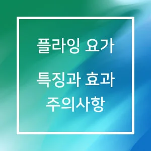 플라잉 요가 특징과 효과 및 주의사항