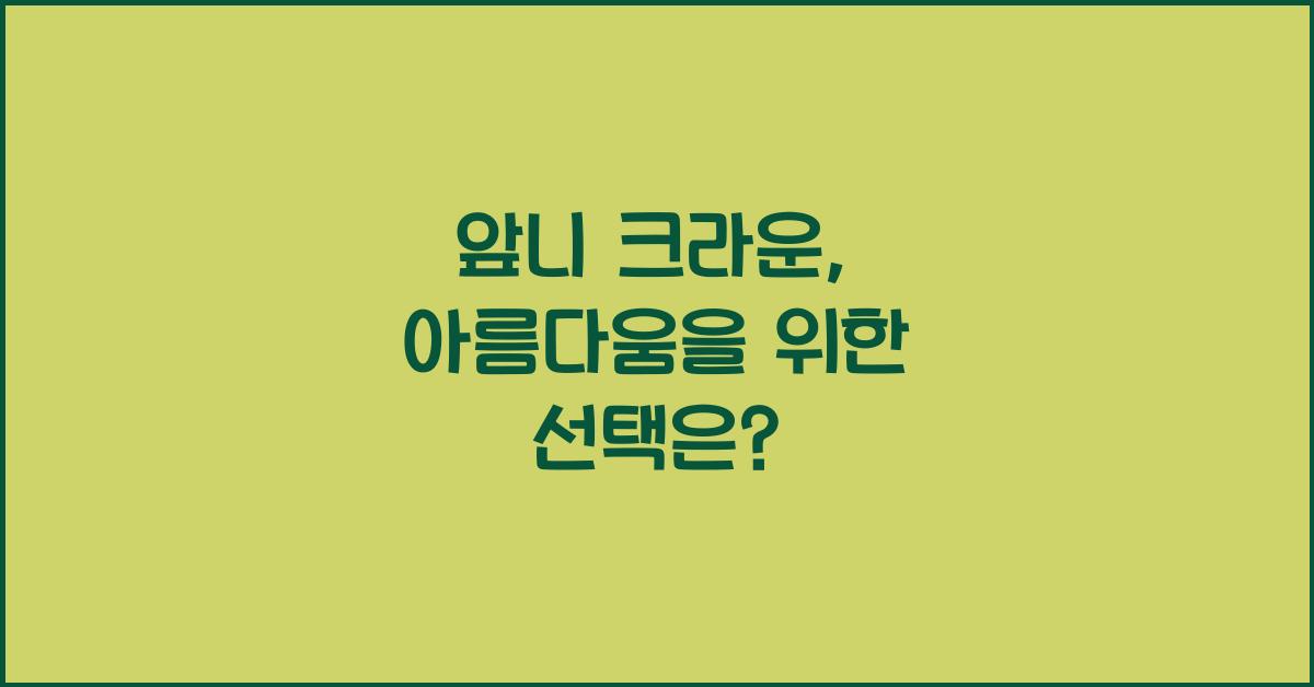 앞니 크라운