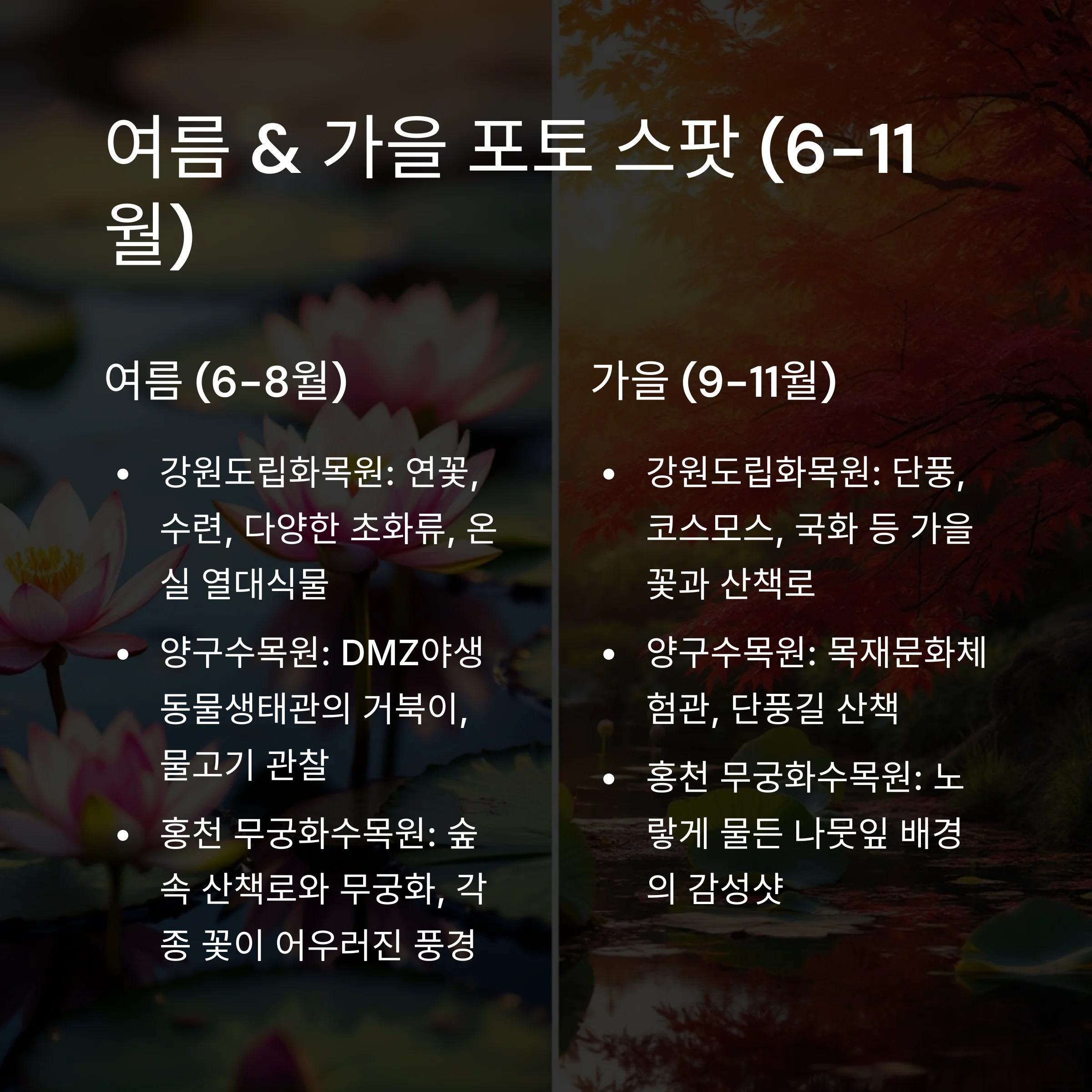 여름 가을 포토스팟