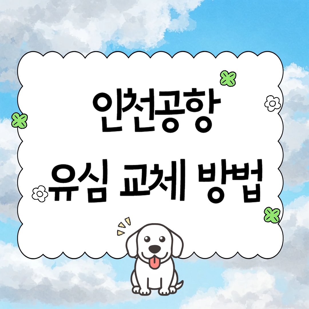 인천공항 유심 교체 방법