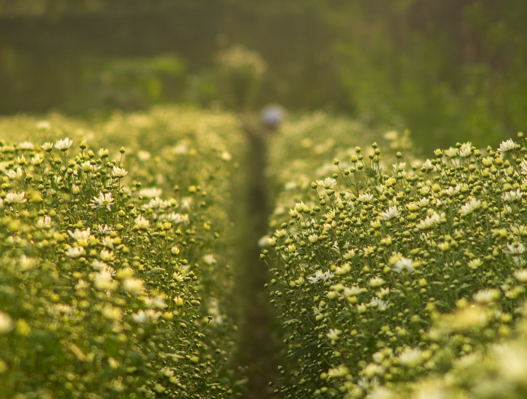 유명 관광지 vs 숨은 명소, 어디를 가야 할까?