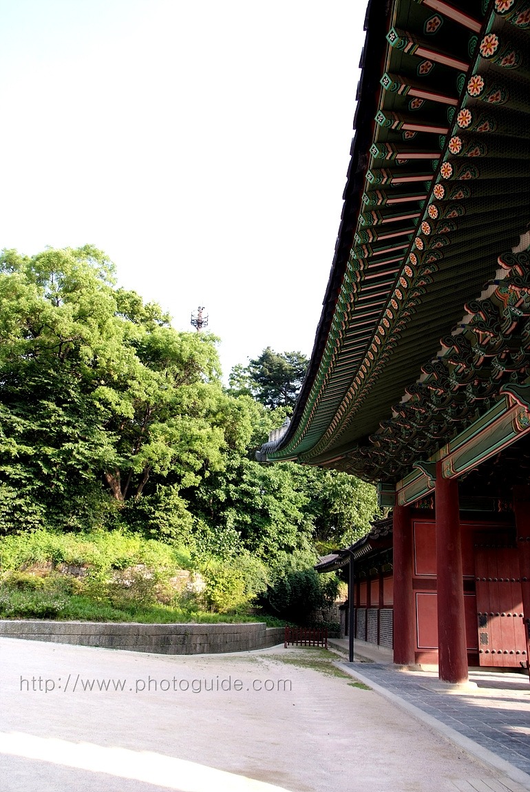 창덕궁 Changdeokgung Palace