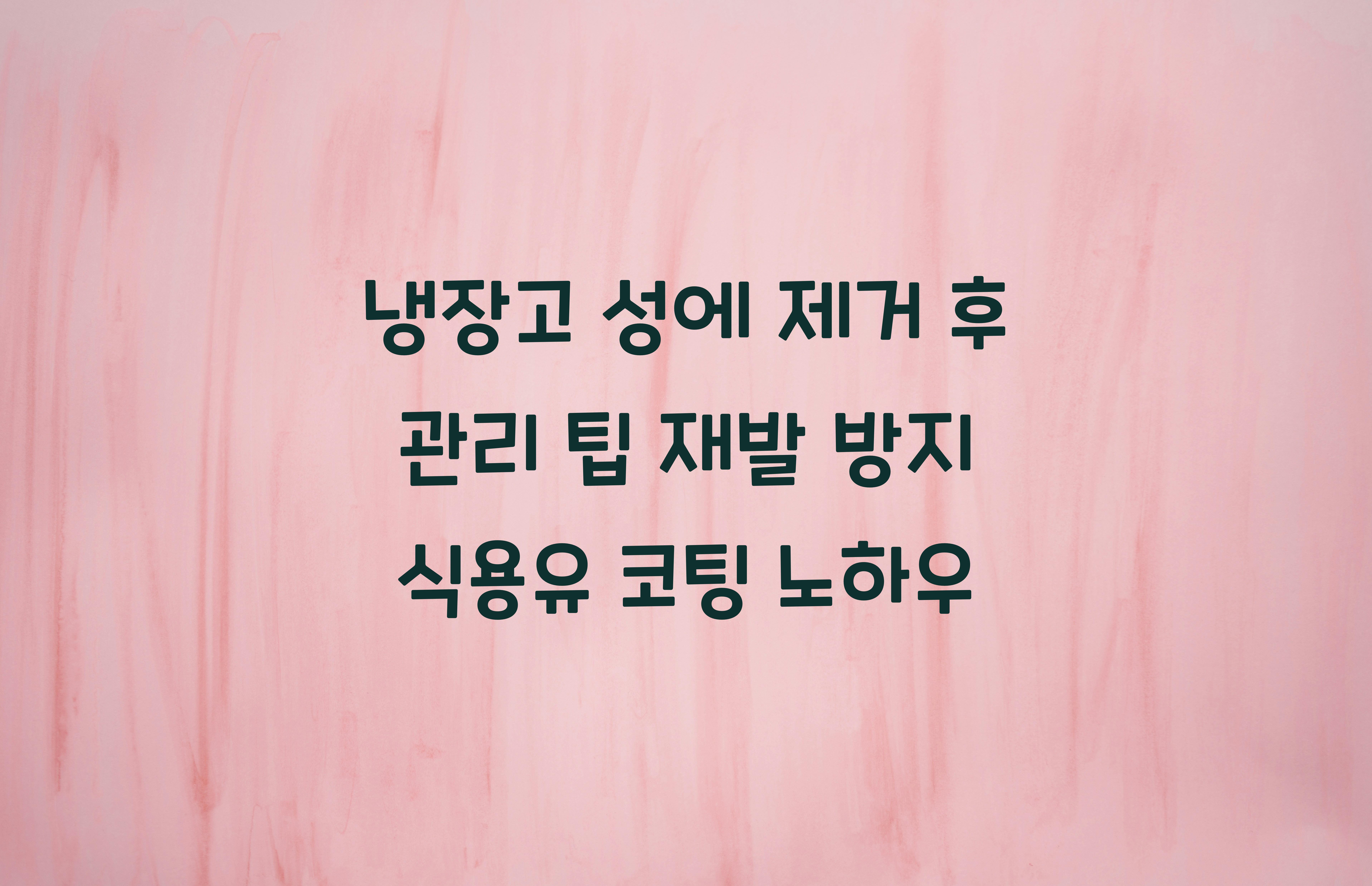 냉장고 성에 제거 후 관리 팁
