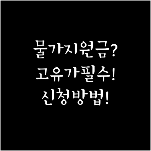 2026년 고유가 물가 지원금 총정리..