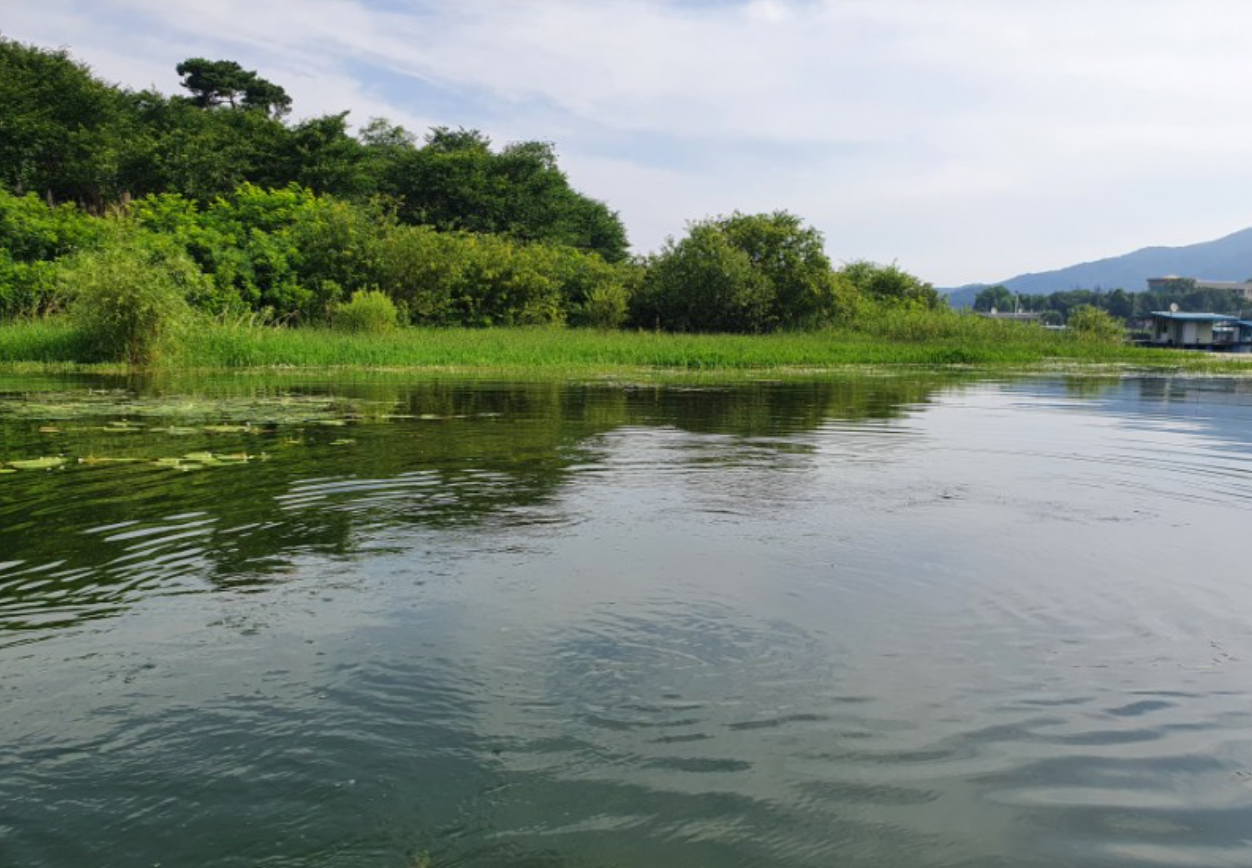 붕어낚시터-사진