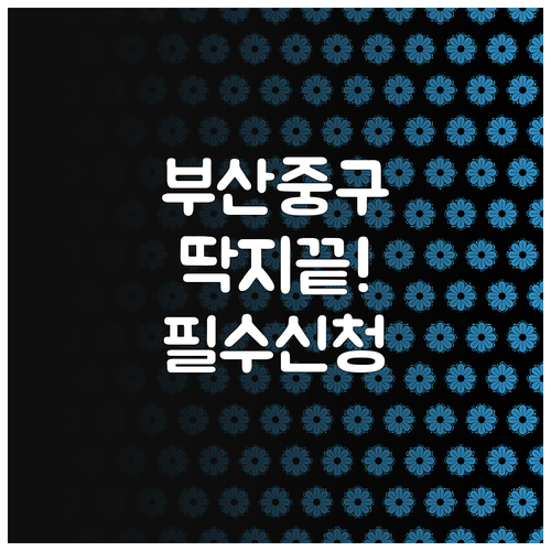 부산 중구 주정차 단속 알림 문자 신..