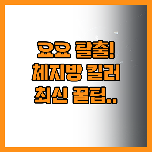 다이어트 끝 요요 없는 체지방 줄이는..