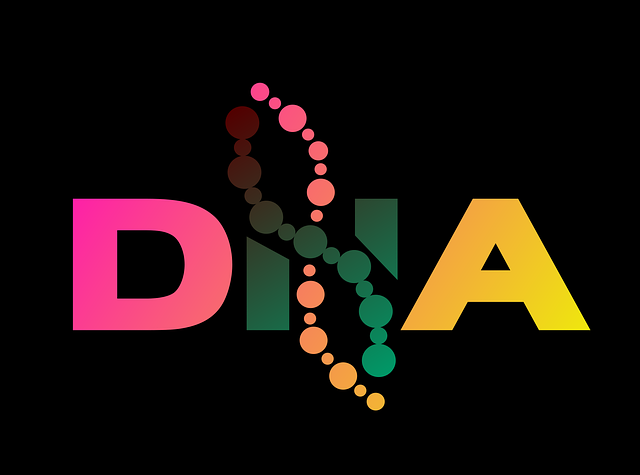 DNA의 기능