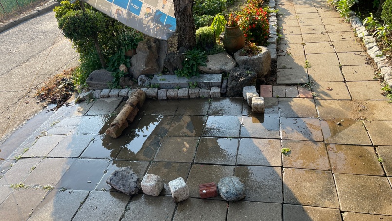 쌋어 말리기 사진