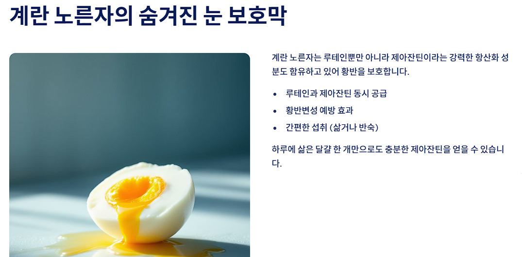 계란 노른자의 숨겨진 눈 보호막