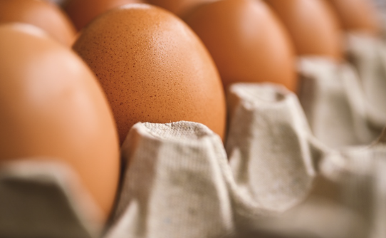 이마트 트레이더스 계란 고르는 법, 난각번호 확인