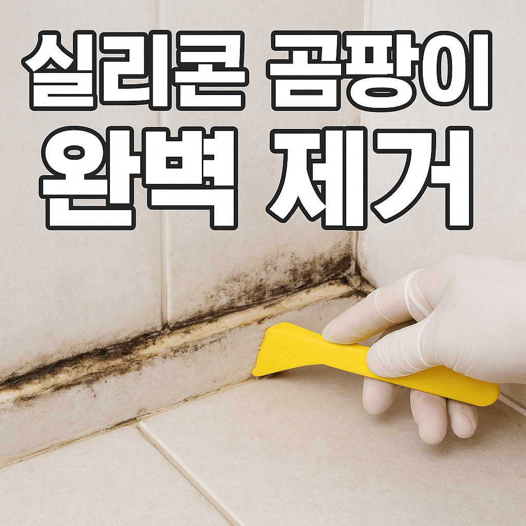 실리콘 곰팡이 제거