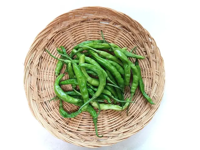 꽈리고추-효능