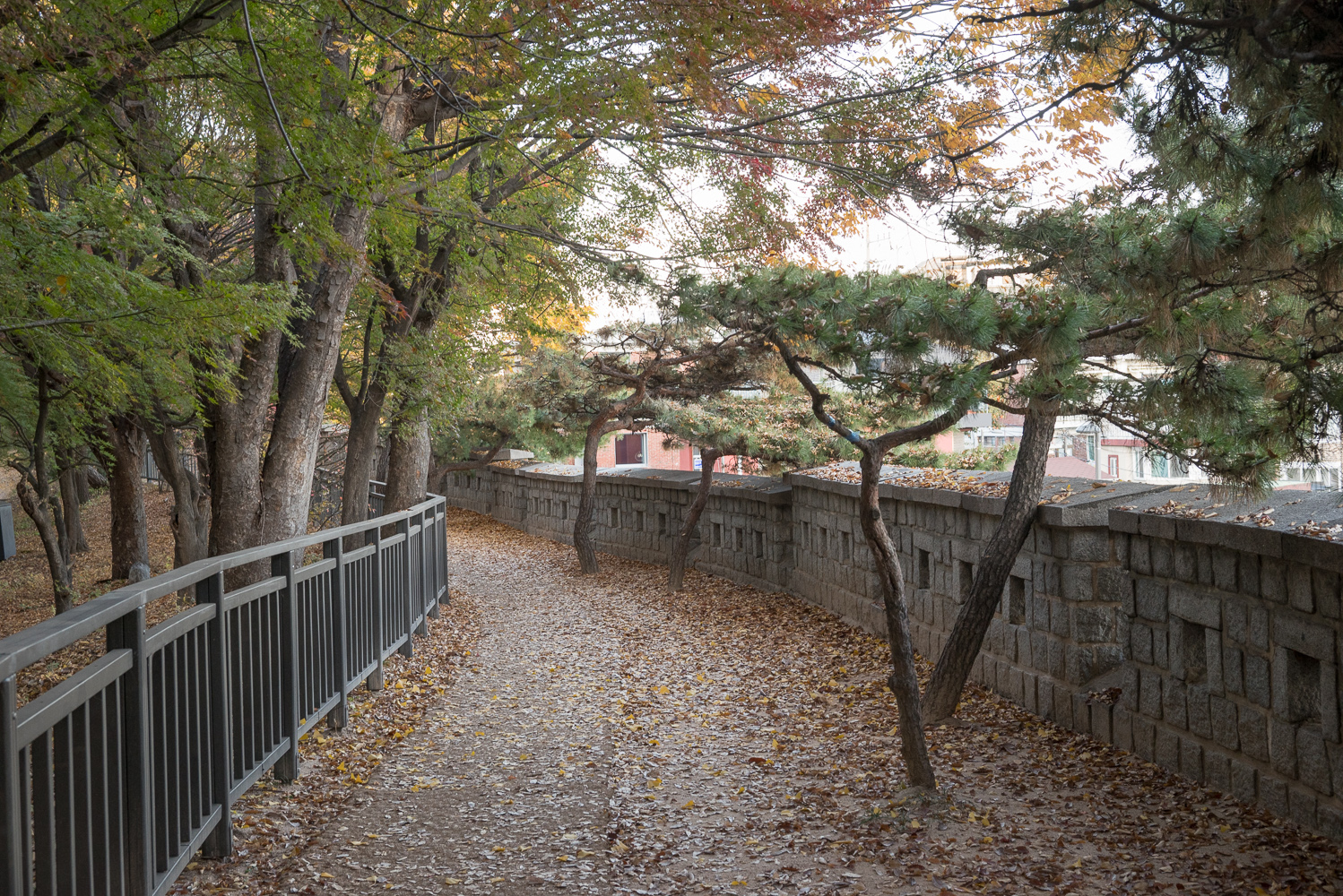 숨은 단풍길 명소 다산성곽길