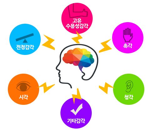 균형 감각과 뇌의 적응력