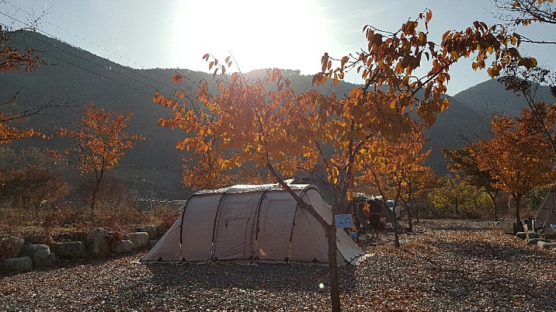 경남 밀양표충오토캠핑장 소개