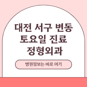 대전 서구 변동 토요일 정형외과 진료 병원