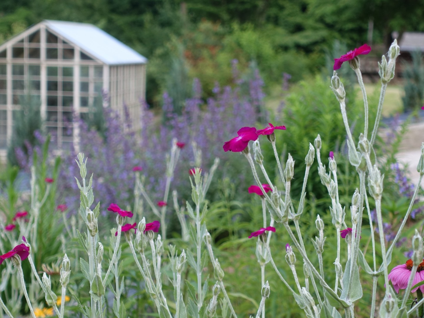 특색있고 아름다운 민간 정원 30선 추천 여행 - 12. 인제 찍박골 정원