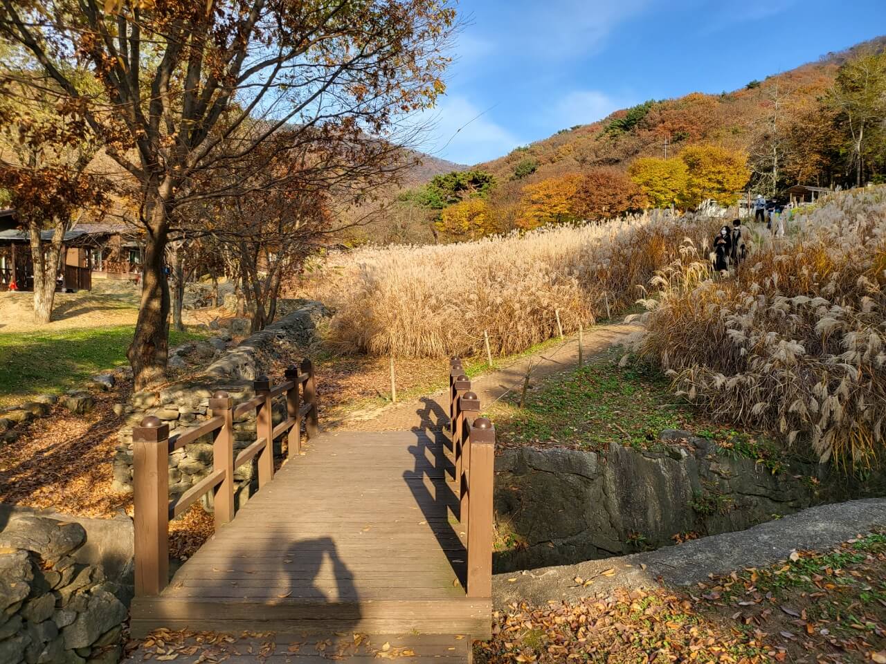억새밭 들어가는 입구