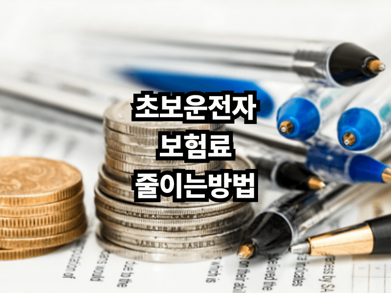 How to Reduce Car Insurance for Beginner Drivers in Korea
