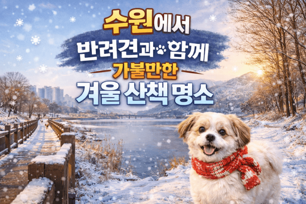 수원 반려견 산책 어디가 좋을까? 겨울에도 걷기 좋은 명소 추천