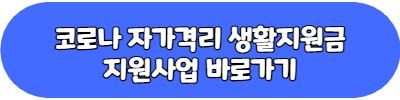 코로나19 자가격리 지원금
