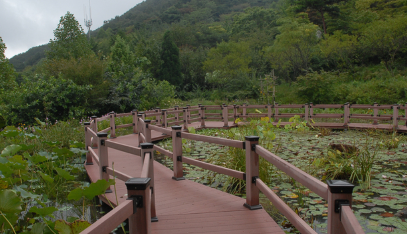고운식물원 