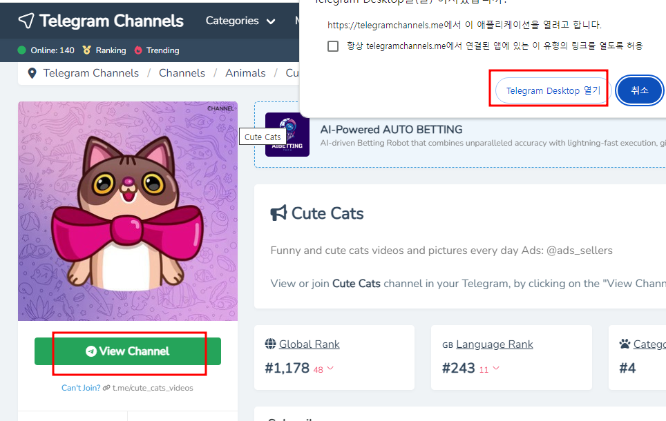 텔레그램 채널
