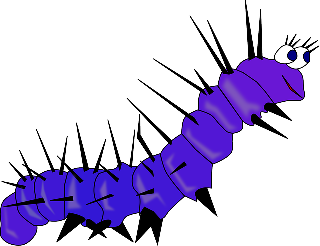 구더기 꿈해몽 애벌레 꿈해몽 송충이 꿈