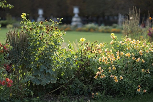 민생지원금 사용지역 