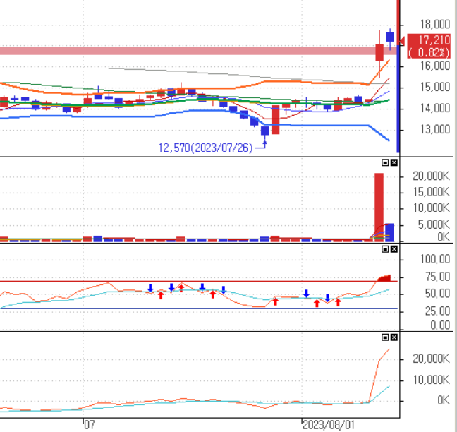 파라다이스 일별 챠트