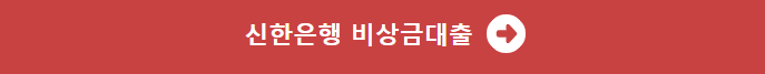 신한은행 비상금대출
