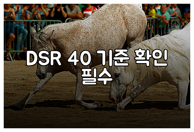 DSR 40 기준 확인 필수