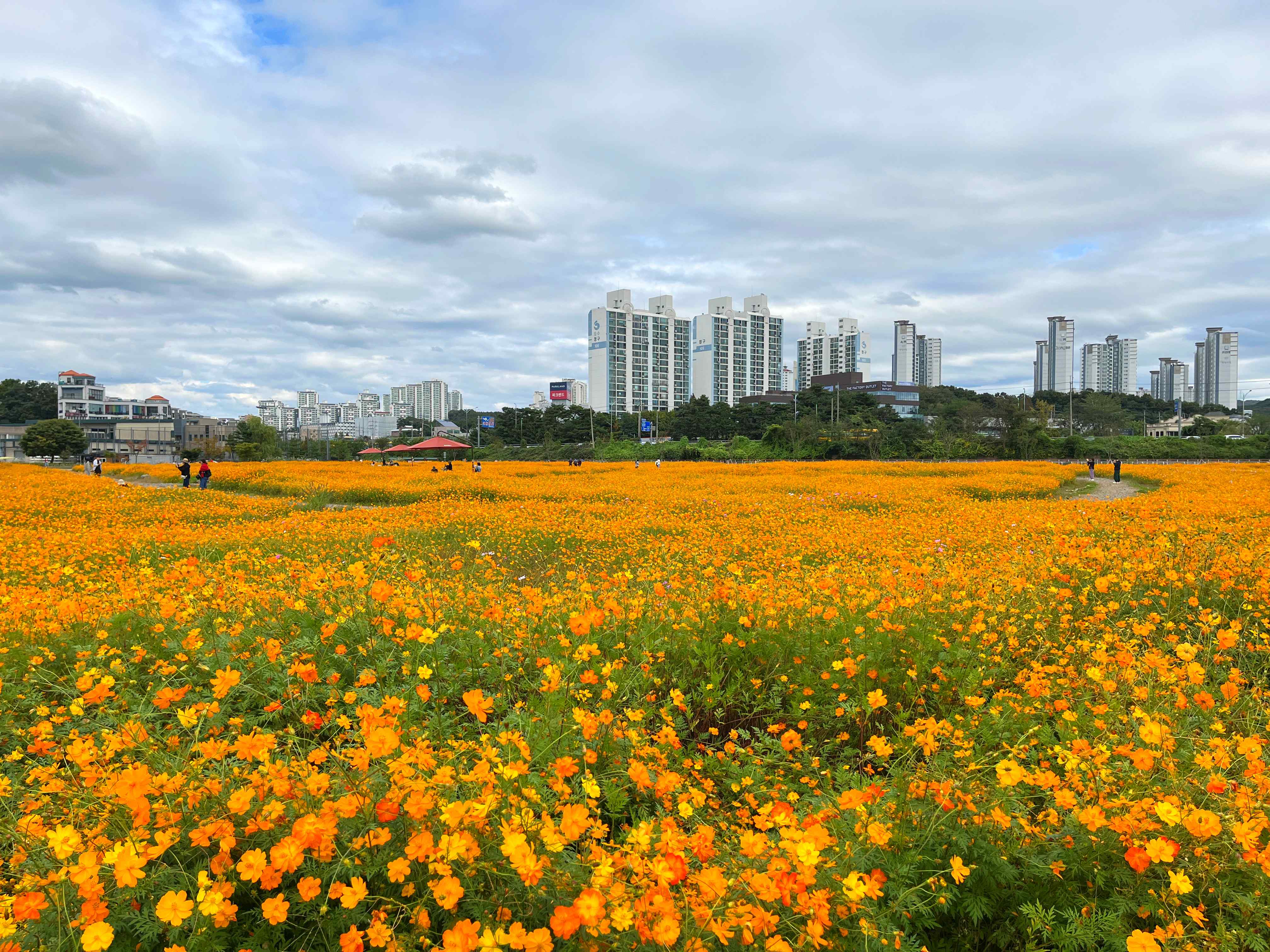 용인 기흥 호수공원