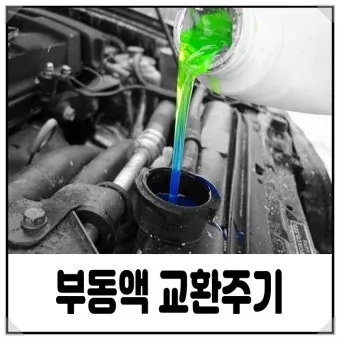 부동액 교환시기와 교환비용 보충방법 냉각수 관리 팁_8