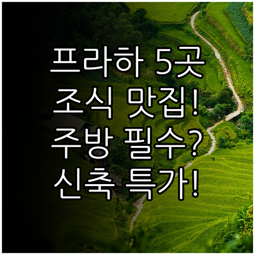 프라하 호텔 아파트 5곳 추천 조식 ..